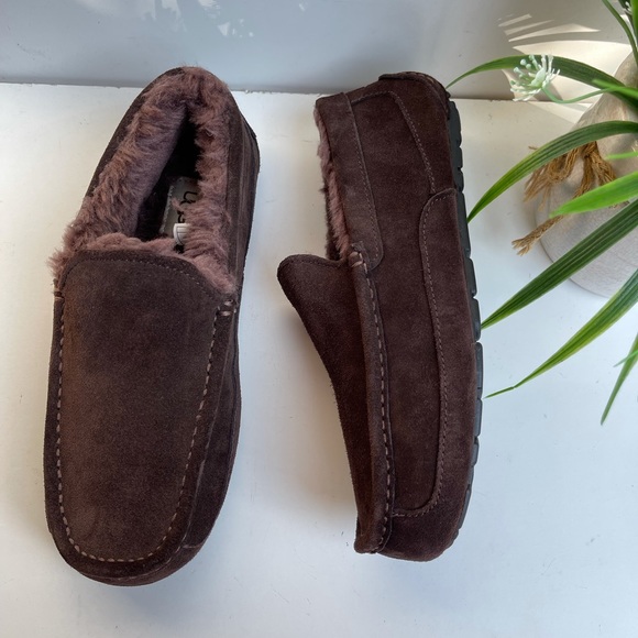 UGG ??Ascot Brown Slippers sz 8 Brand New main image 8